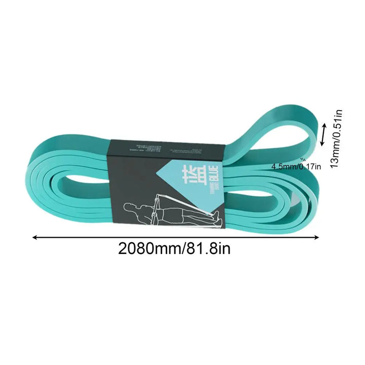Workout Resistance Bands – Elastic Pull Up &amp; Stretching Bands for Home Gym
