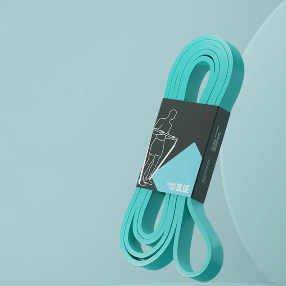 Workout Resistance Bands – Elastic Pull Up &amp; Stretching Bands for Home Gym