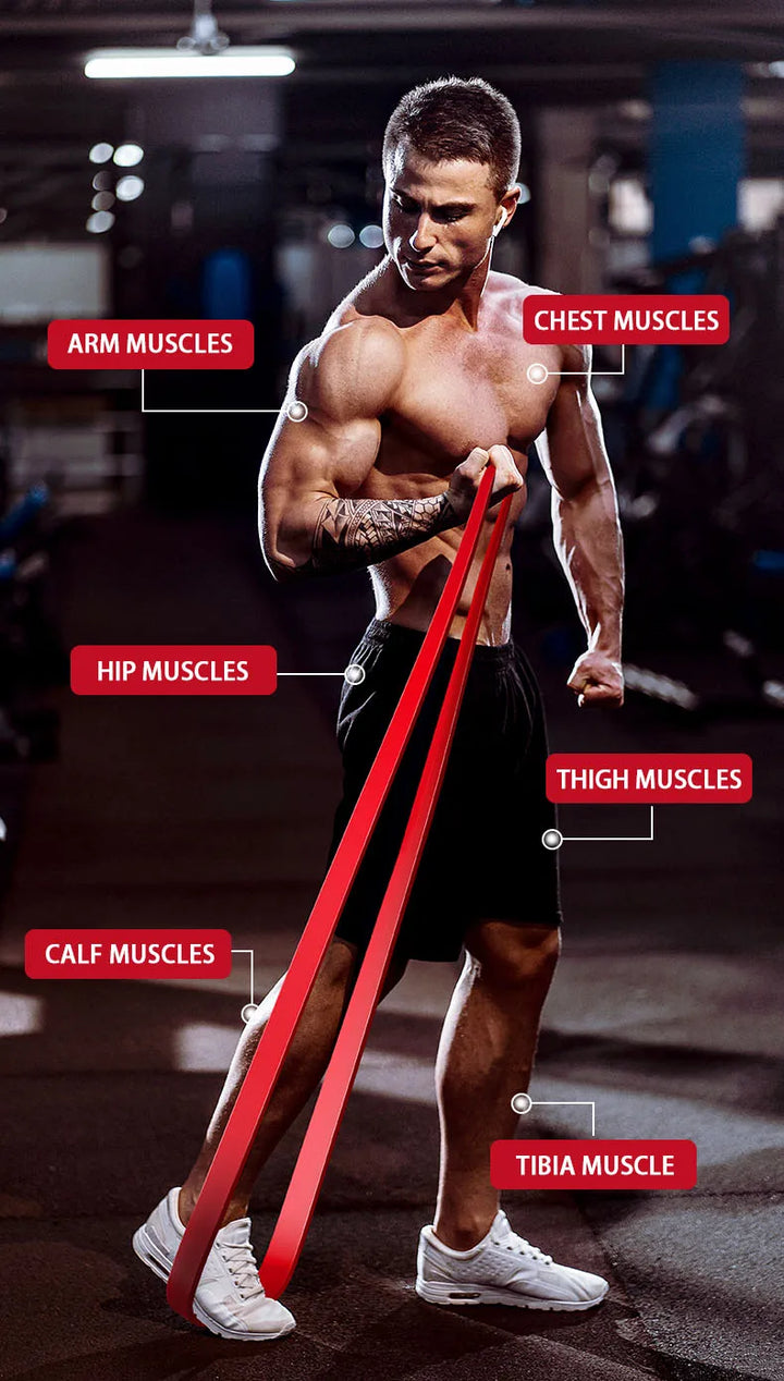 Pull Up Assistance Resistance Band Set – Physical Therapy &amp; Workout