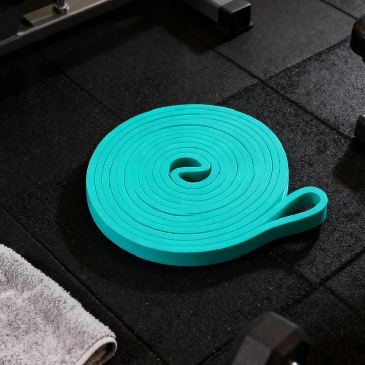 Workout Resistance Bands – Elastic Pull Up &amp; Stretching Bands for Home Gym