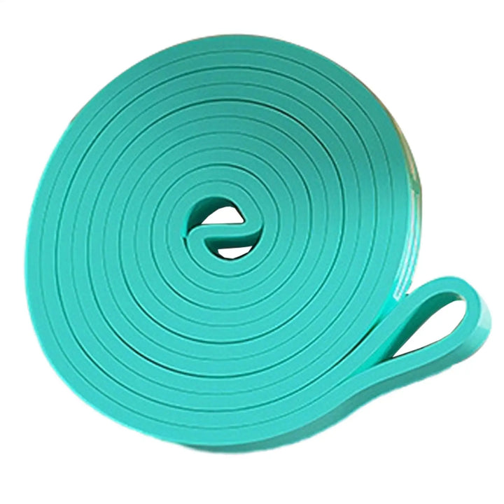 Workout Resistance Bands – Elastic Pull Up &amp; Stretching Bands for Home Gym