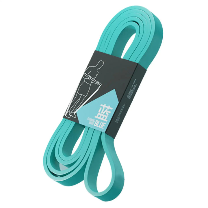 Workout Resistance Bands – Elastic Pull Up &amp; Stretching Bands for Home Gym