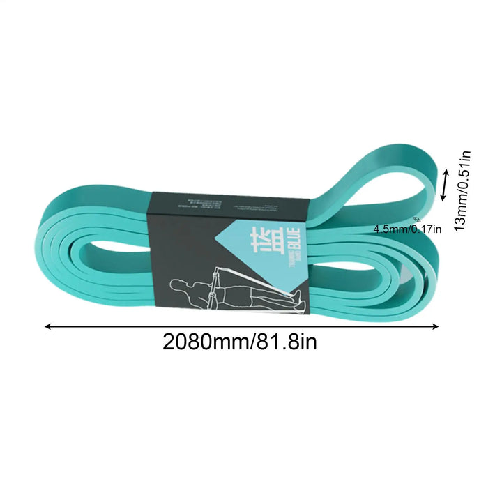 Workout Resistance Bands – Elastic Pull Up &amp; Stretching Bands for Home Gym